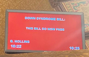 Down's Syndrome Bill
